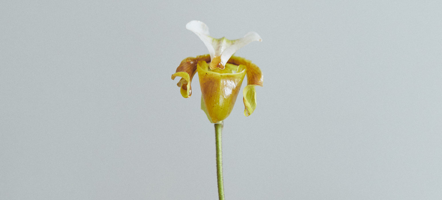Discover your Key Fertility Sign: Cervical Mucus