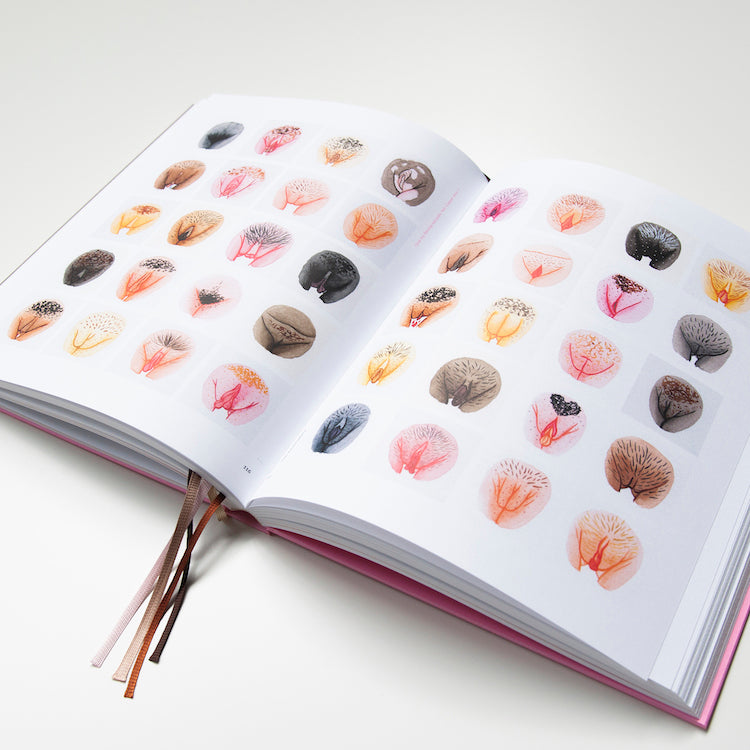 A Celebration of Vulva Diversity