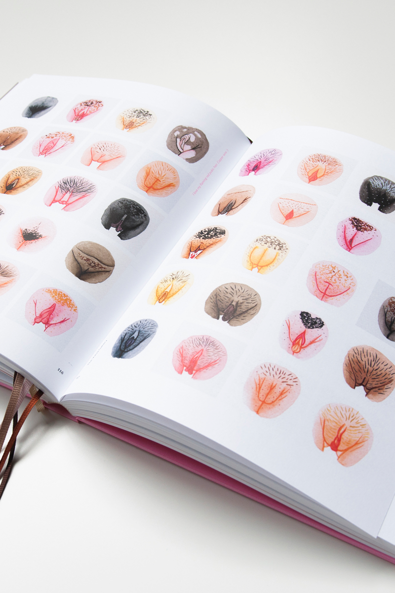 Vulva diversity book inside illustrations