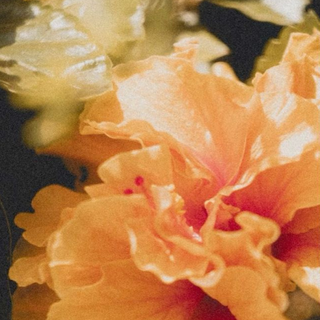 How You Can Help Reduce Period Poverty in Thailand